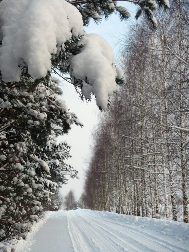 Et bonne année à tous