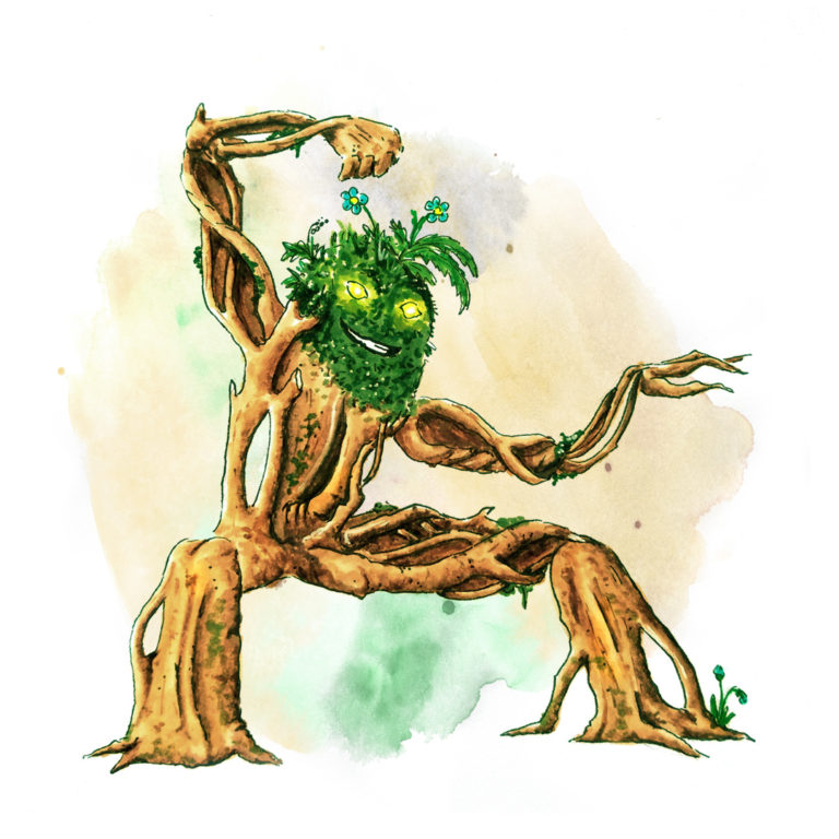 Forest : suite