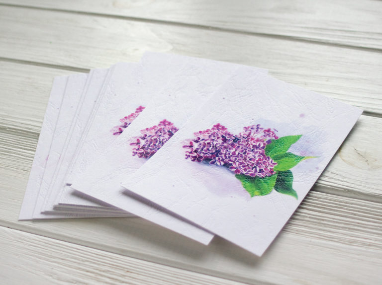 Carte lilas