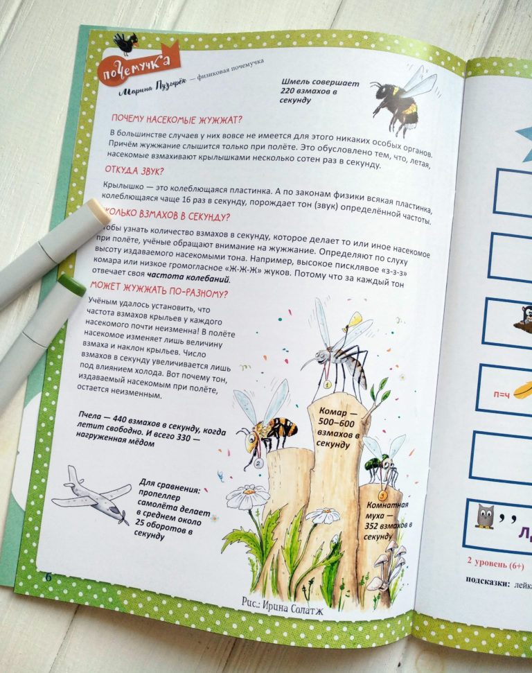 Tout ce que vous voulez savoir sur des insectes